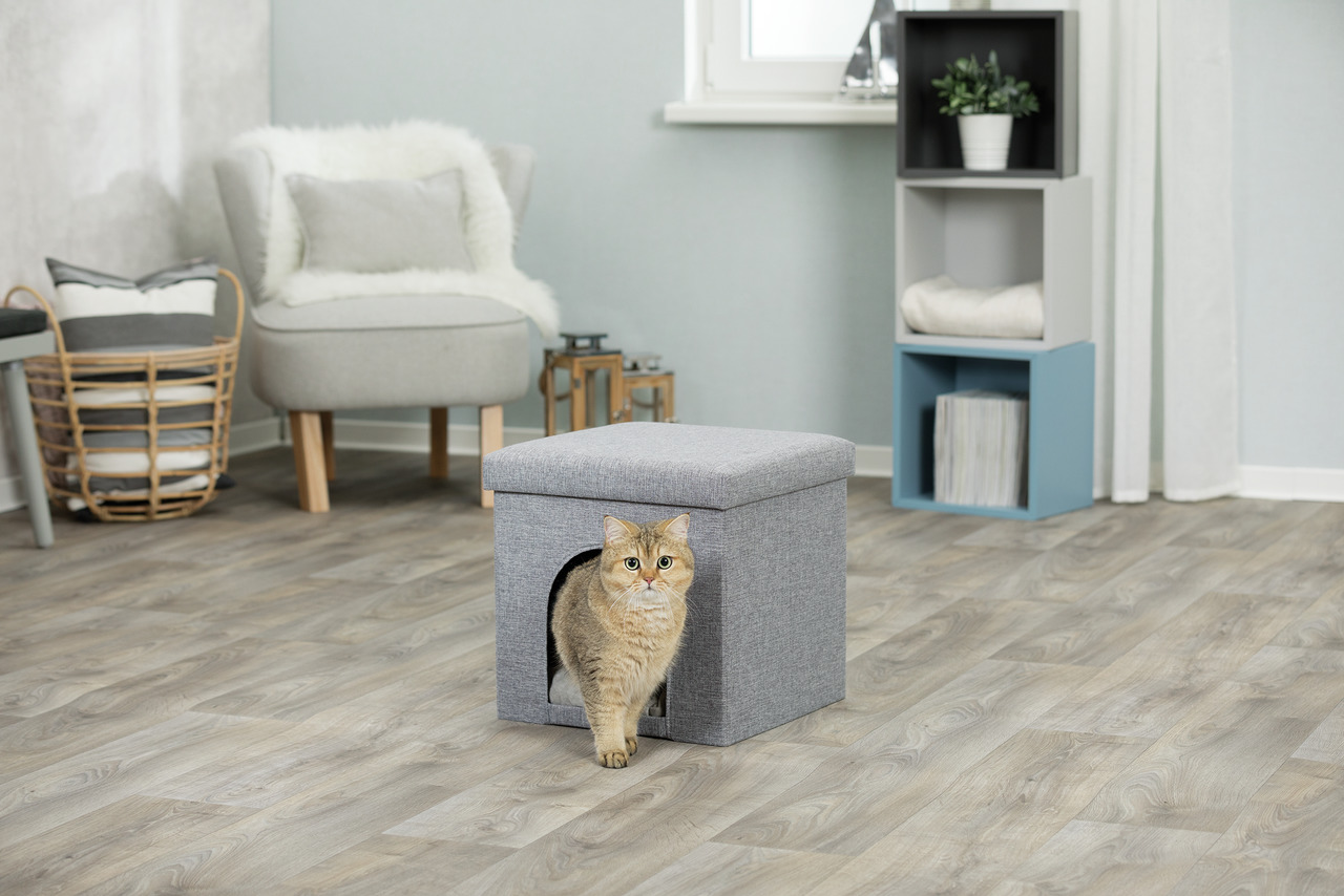 Das Bild zeigt eine TRIXIE Katzenhöhle in Form eines grauen Sitzhockers, geeignet für Katzen. Eine orangefarbene Katze tritt aus der Höhle hervor. Der Hocker steht in einem modern eingerichteten Wohnzimmer mit Holzboden, einem Sessel und Regalen. Die Höhl