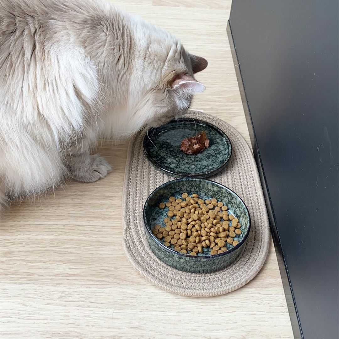 D&D Futterschalen für Katzen, grüne Keramik, inkl. Trocken- & Nassfutter, beige Unterlage, stilvoll & praktisch.