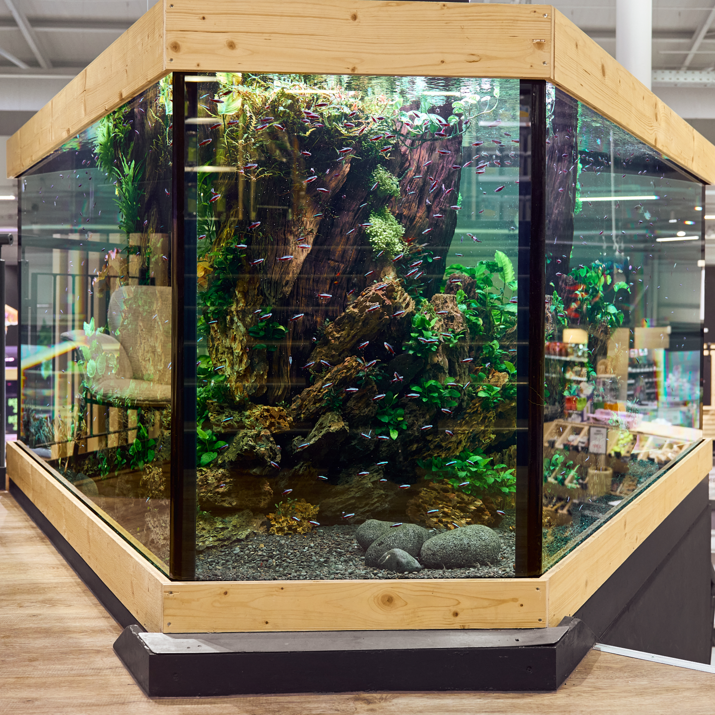 Kw43 Stuttgart Highlights 1200x1200 21