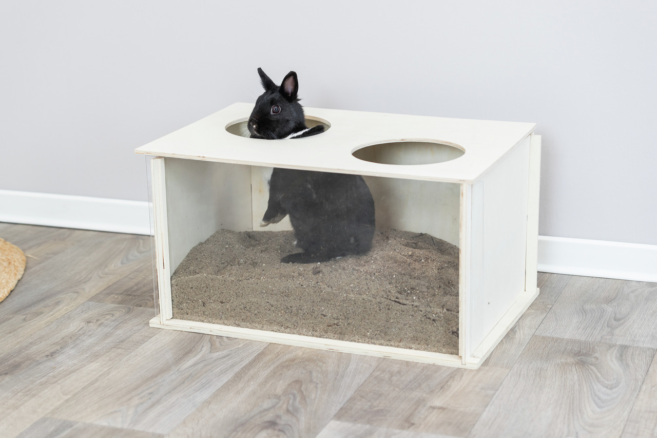 TRIXIE Holz-Sandbadbox, für Kaninchen, weiße Box mit 2 Öffnungen & transparenter Front, ideal für artgerechte Pflege.