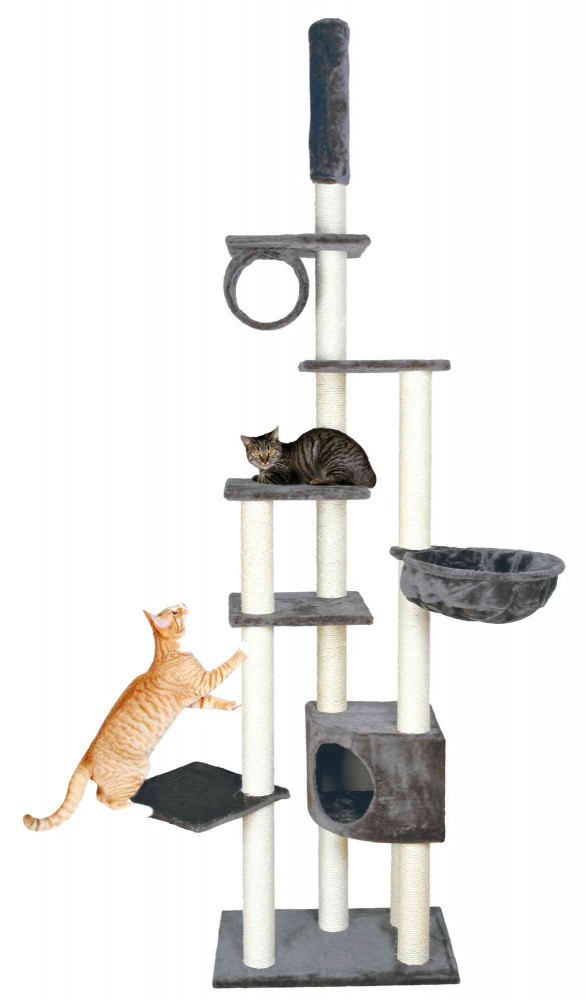 Das Bild zeigt den TRIXIE Kratzbaum XXL für Katzen, geeignet für alle Katzenrassen. Der Kratzbaum ist in Grau gehalten und bietet mehrere Ebenen, eine Höhle, eine Hängematte und Sisalstämme zum Kratzen. Zwei Katzen, eine getigerte und eine orangefarbene, 