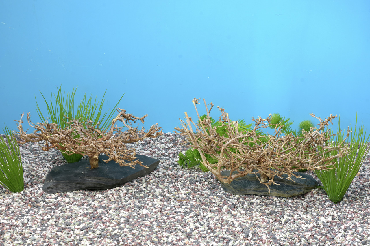 Colorstone Aquarienwurzeln, dekorativ, mit Kunstpflanzen, auf Kiesboden, ideal für Aquarien, 2 Stk., für naturnahe Gestaltung.