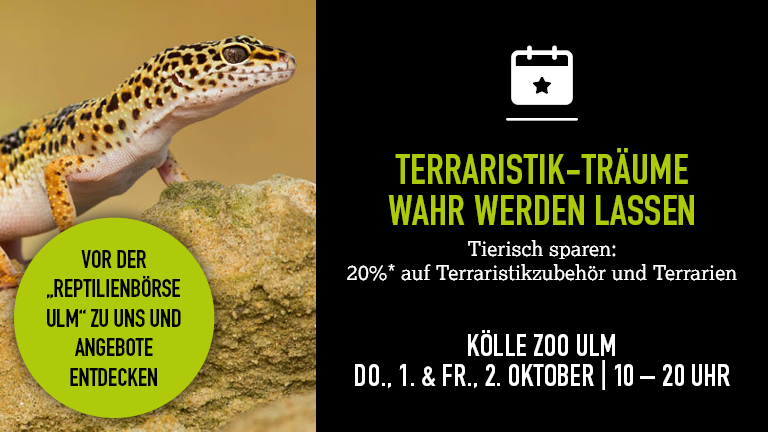 01+021026 Terraristiktag Ulm Mobile 768x432px