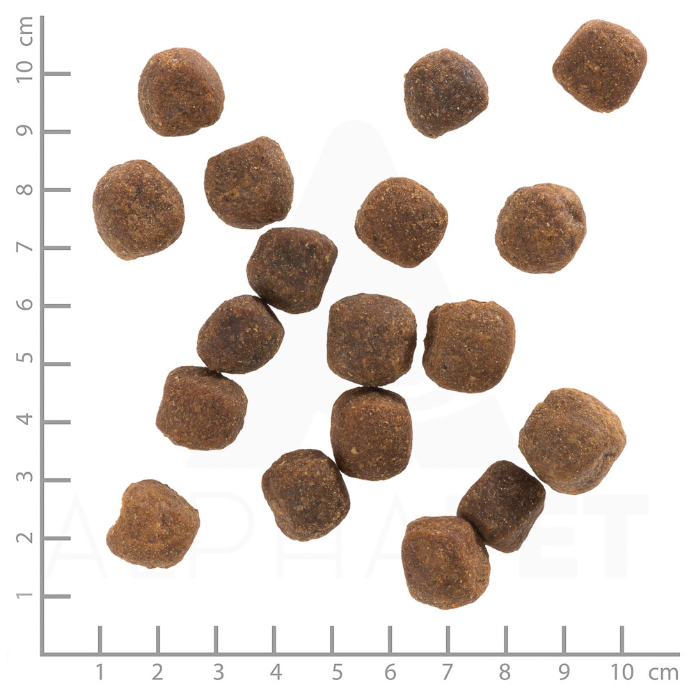 Wolfsblut Trockenfutter für ausgewachsene Hunde, Geschmacksrichtung Wildfleisch, braune Kroketten, ca. 1,5 cm groß.