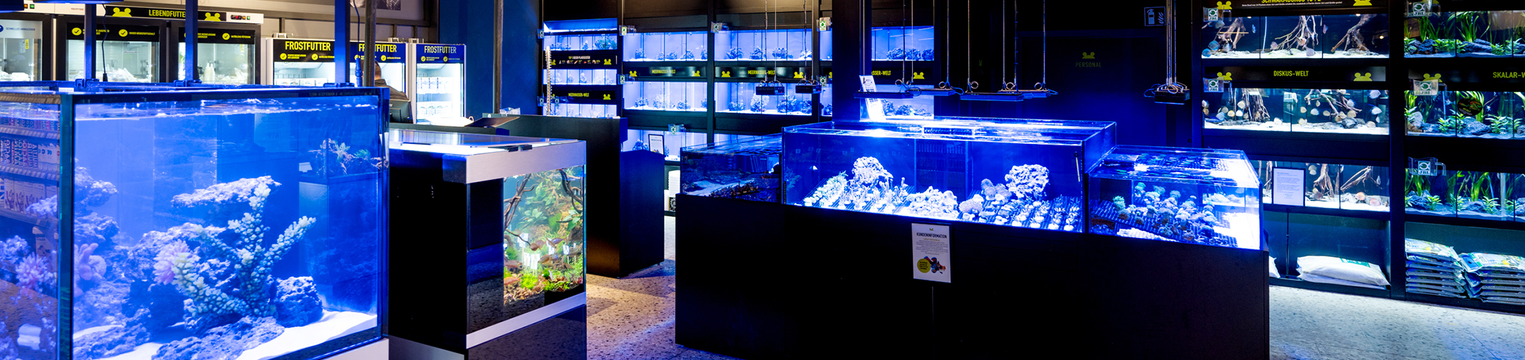 Kassel Header Desktop Aqua