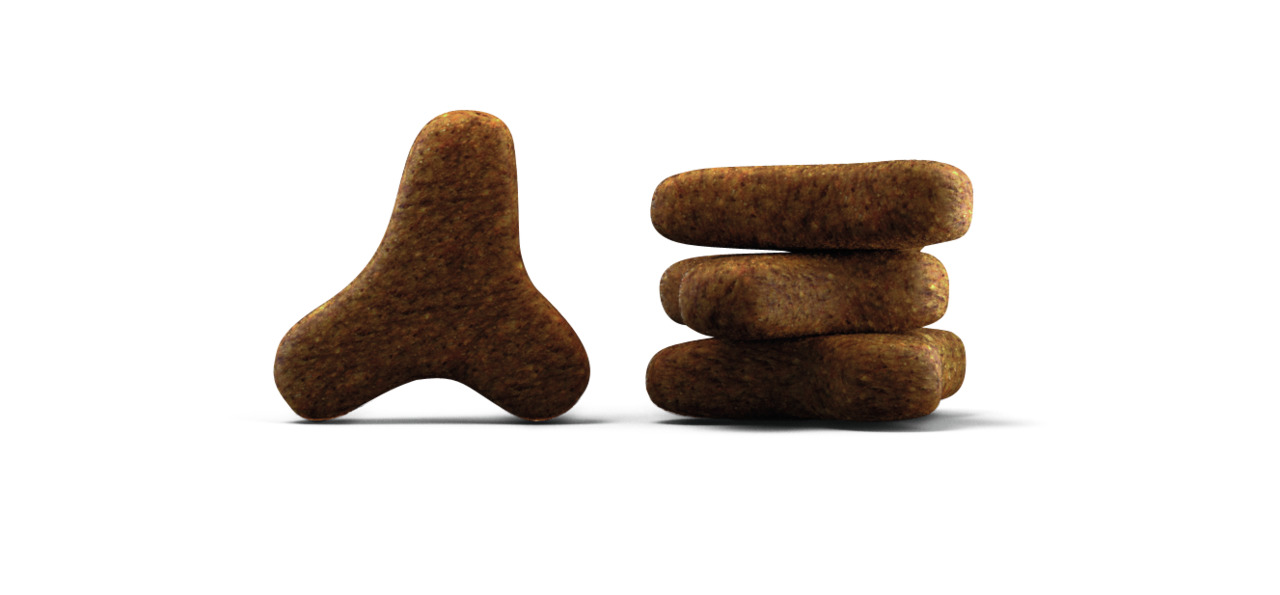 Das Bild zeigt Josera Optiness Hundefutter in Form von braunen, dreieckigen und rechteckigen Kroketten. Es handelt sich um ein Trockenfutter für ausgewachsene Hunde, speziell für normal aktive Tiere. Die Geschmacksrichtung ist Lamm und Reis. Die Kroketten