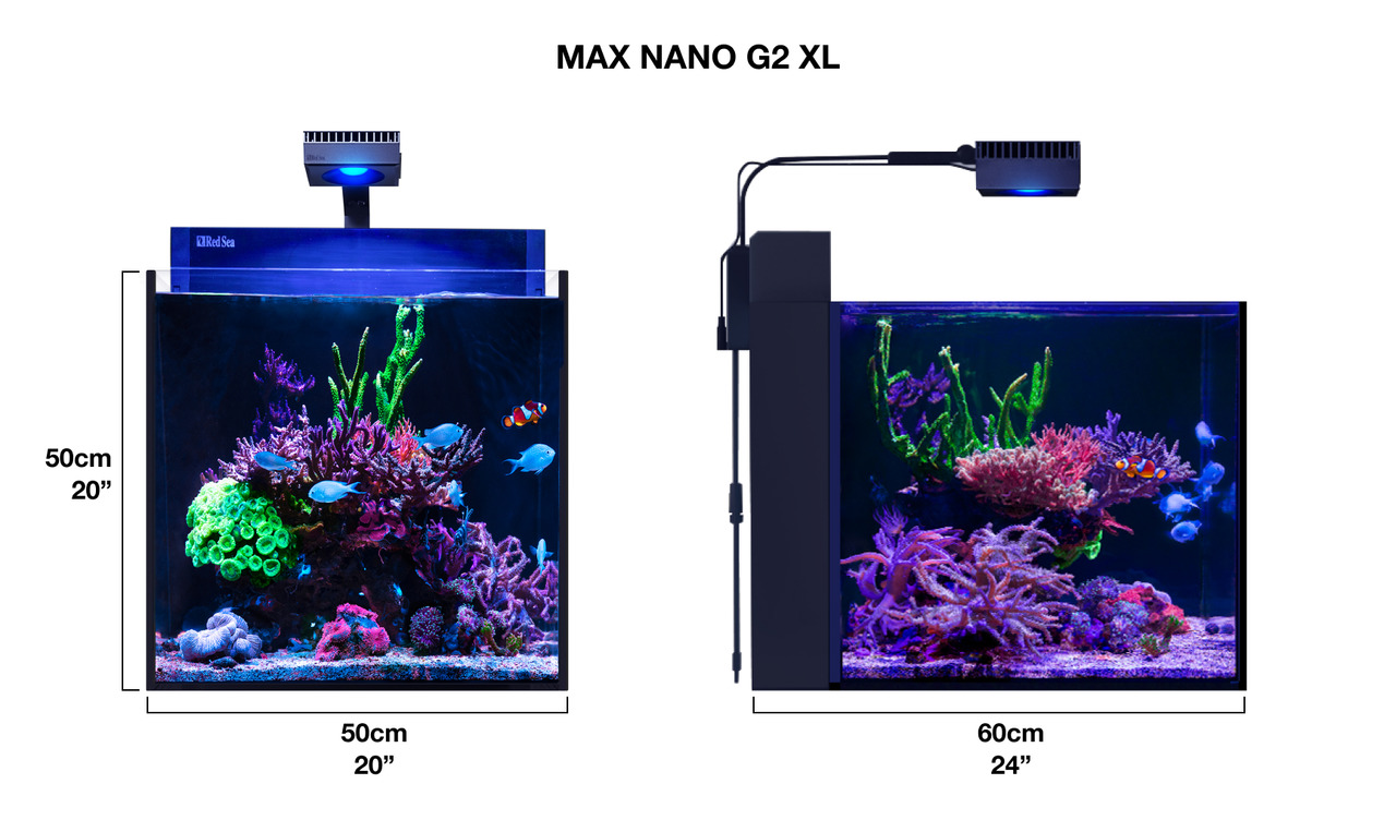 Red Sea MAX NANO G2 XL Aquarium, Nano-Riffaquarium, Meerwasser, LED-Beleuchtung, 50x50x60 cm, für erfahrene Aquarianer.
