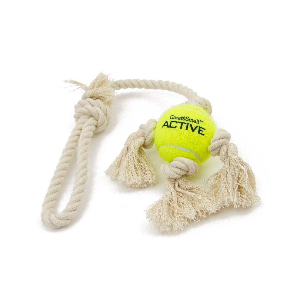 Great & Small Tennis Ball on Rope Tug