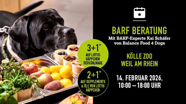 140226 Barf Weilamrhein Mobile 768x432px