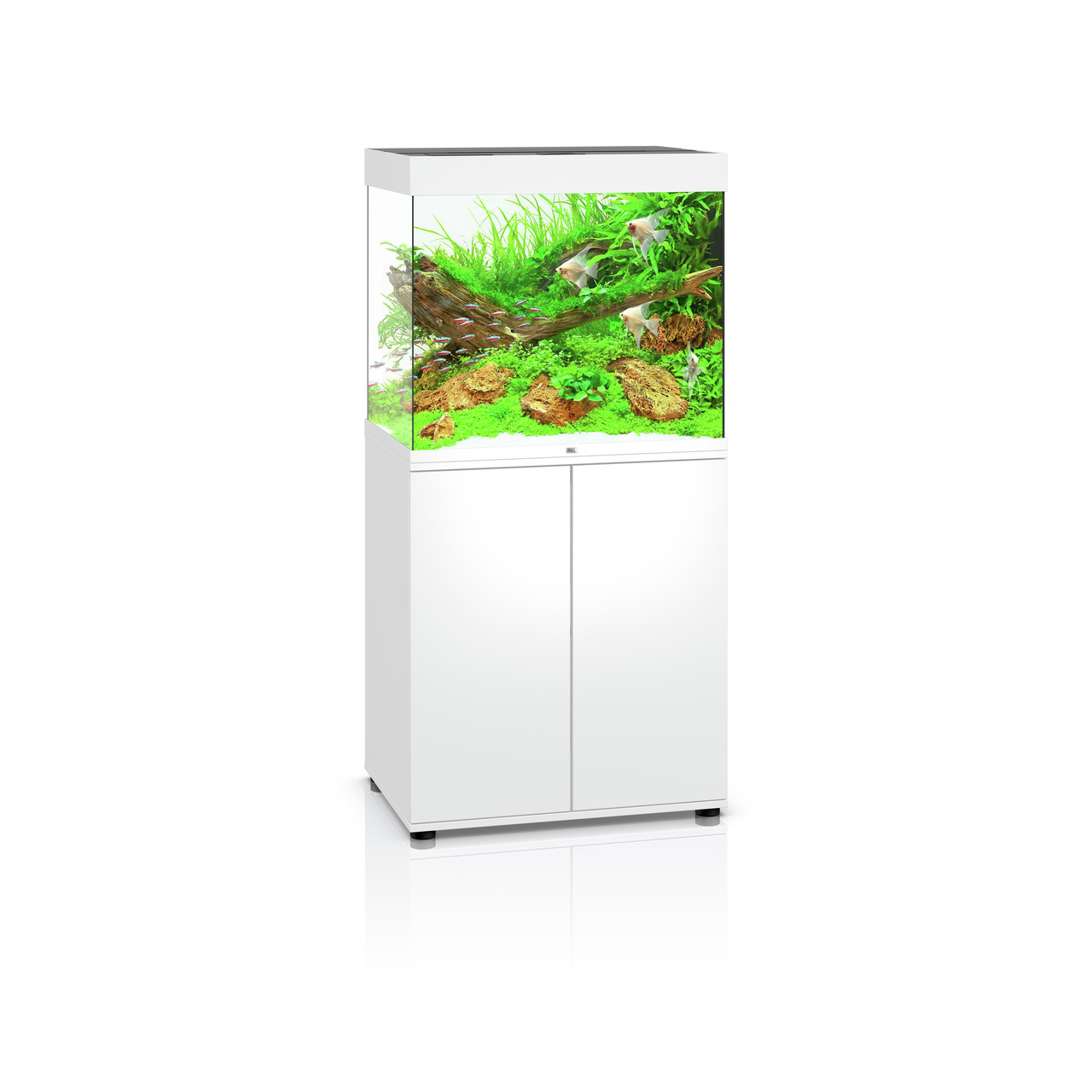 Das Bild zeigt das JUWEL Aquarium Rio 125 in Weiß, ein hochwertiges Aquarium für Aquaristik-Enthusiasten. Es ist mit einem modernen Unterschrank ausgestattet und bietet eine stilvolle Präsentation für Fische und Pflanzen. Das Aquarium hat ein Fassungsverm
