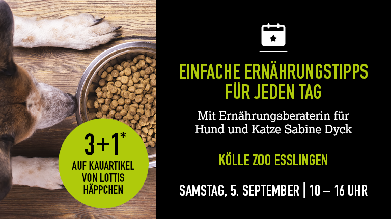 050926 Ernhrungsberatung Esslingen Mobile 768x432px