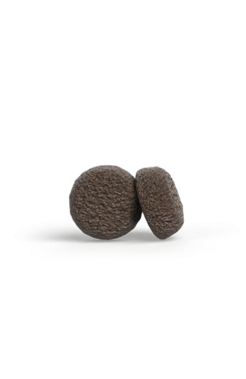 Josera Hundefutter für ausgewachsene Hunde, Geschmacksrichtung Geflügel, hochwertige Rezeptur, krokettenförmig, 15 kg.