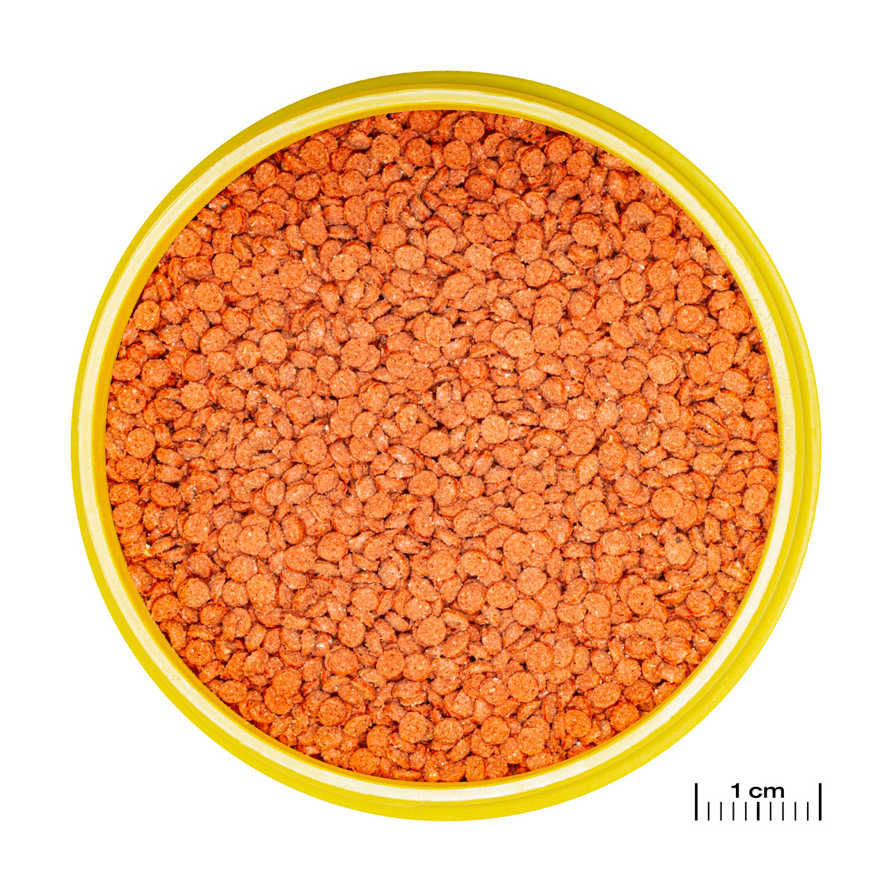 JBL NovoGranoMix Mini: Hauptfutter für kleine Zierfische, Pellets ca. 1 mm, gleichmäßig rund, Geschmacksrichtung Fisch.