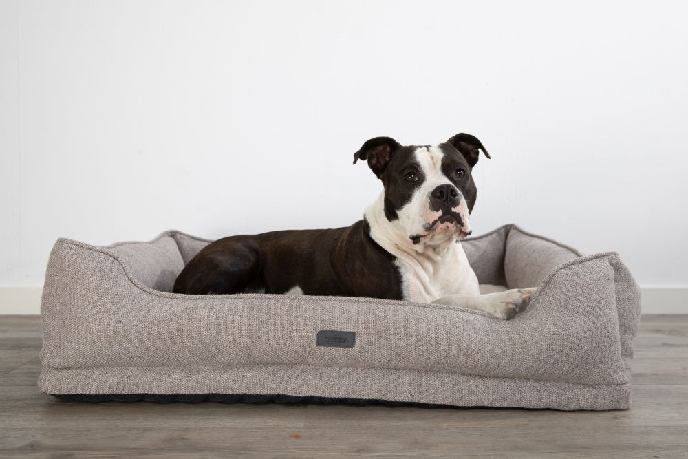 Nobby Orthopädisches Bett CALBU beige 90 x 70 x 19 + 5cm
