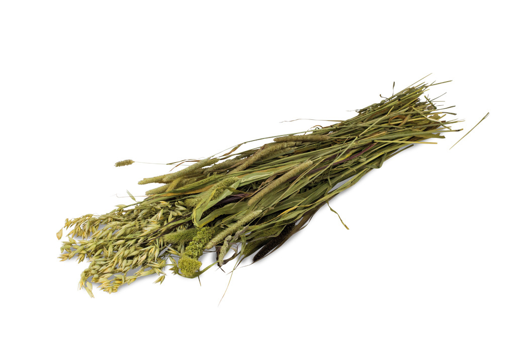 JR FARM Grainless Herbs, Snack für Kaninchen & Meerschweinchen, 100 g, getr. Kräuter & Gräser, gesunde Ernährung ohne Getreide.