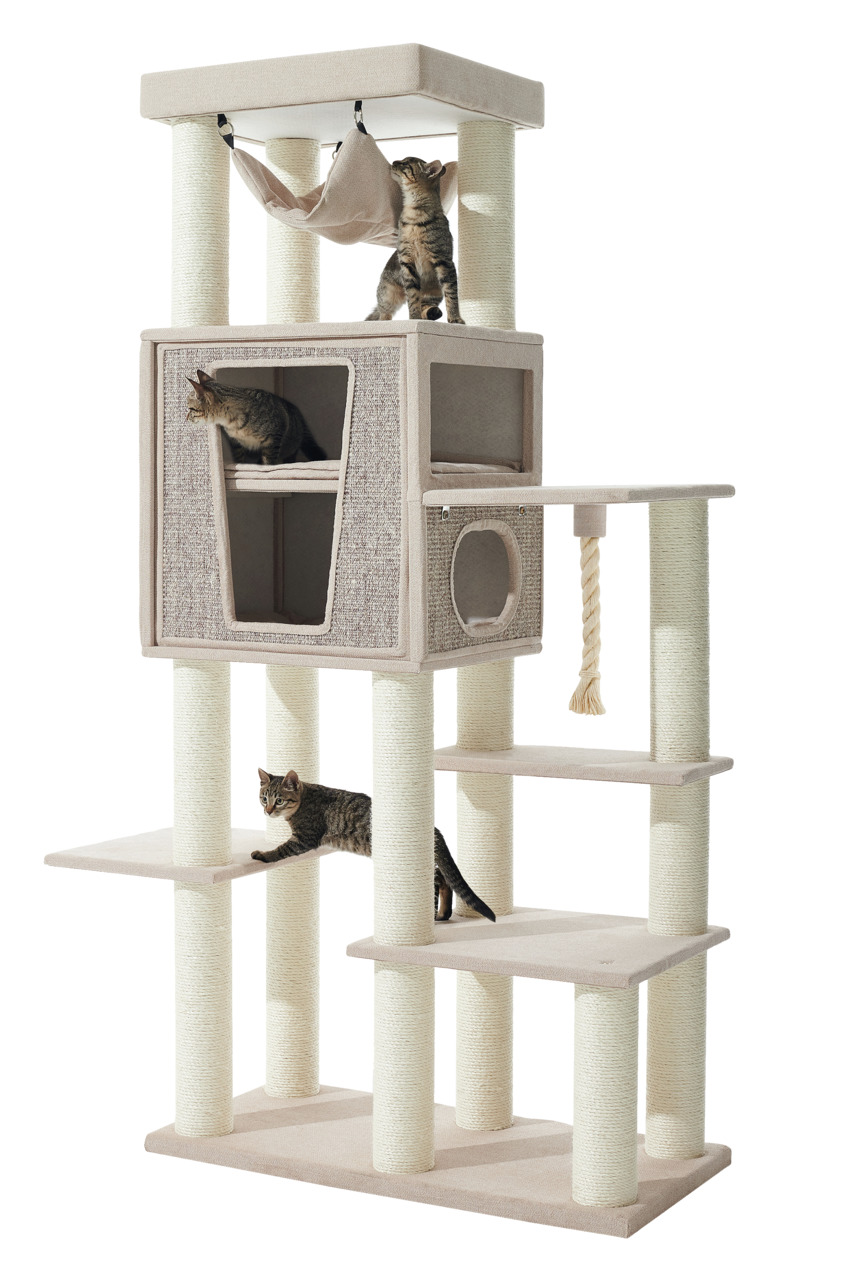 Ein großer, beiger Kratzbaum der Marke Nobby, Modell „Nobby Kratzbaum XXL“, geeignet für Katzen aller Altersgruppen. Der Kratzbaum bietet mehrere Ebenen, eine Hängematte, eine Höhle und Sisalstämme zum Kratzen. Drei Katzen spielen darauf. Perfekt für Spie
