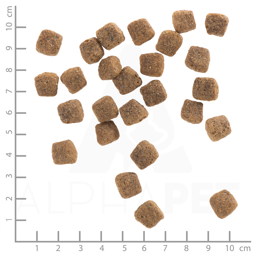Das Bild zeigt Wolfsblut Trockenfutter für Hunde in der Geschmacksrichtung Wild Duck. Die Zielgruppe sind ausgewachsene Hunde. Die abgebildeten Kroketten sind würfelförmig und etwa 1 cm groß. Das Futter ist getreidefrei und reich an Entenfleisch, ideal fü