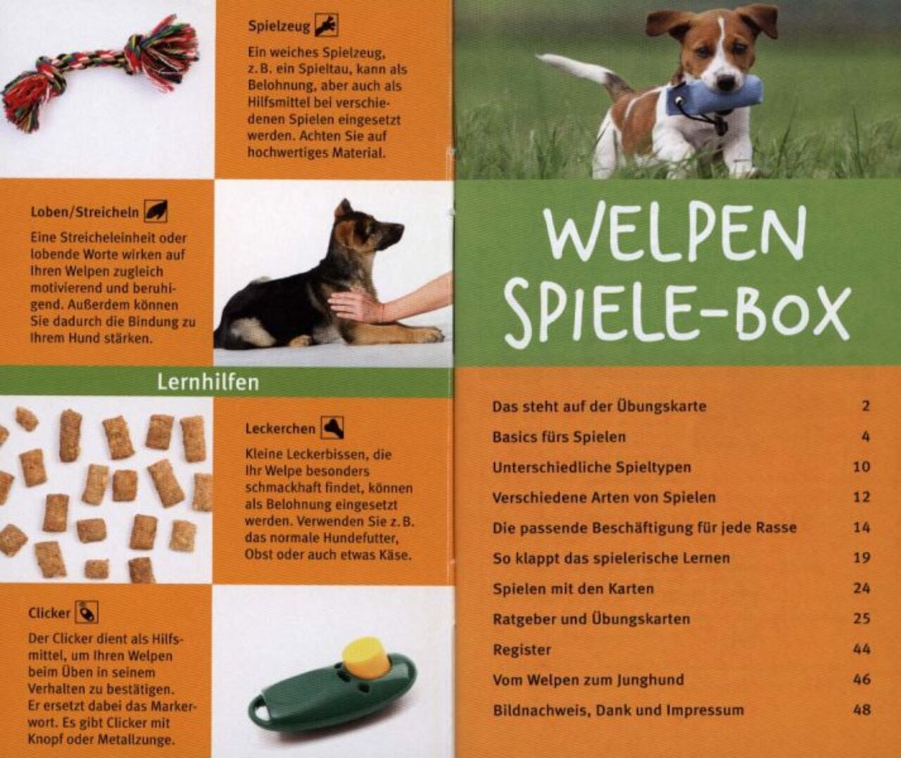 GU Welpen Spiele-Box: Für Welpen & Halter. Enthält Spielzeug, Leckerchen, Clicker & Tipps. Fördert Bindung, Motivation & Lernen.