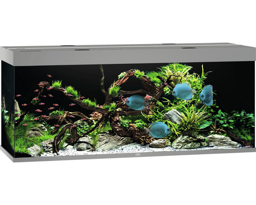 Das Bild zeigt ein hochwertiges Aquarium der Marke JUWEL, Modell Rio 450 LED, mit einem Fassungsvermögen von 450 Litern. Es ist für Aquaristik-Enthusiasten geeignet und präsentiert eine üppige Unterwasserlandschaft mit Pflanzen, Wurzeln und verschiedenen 