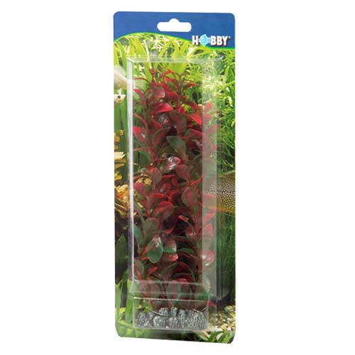 HOBBY künstl. Aquarienpflanze, rot, für Süß-/Meerwasseraquarien, ca. 20 cm, bietet Verstecke & Deko, ideal für Aquarienliebhaber.