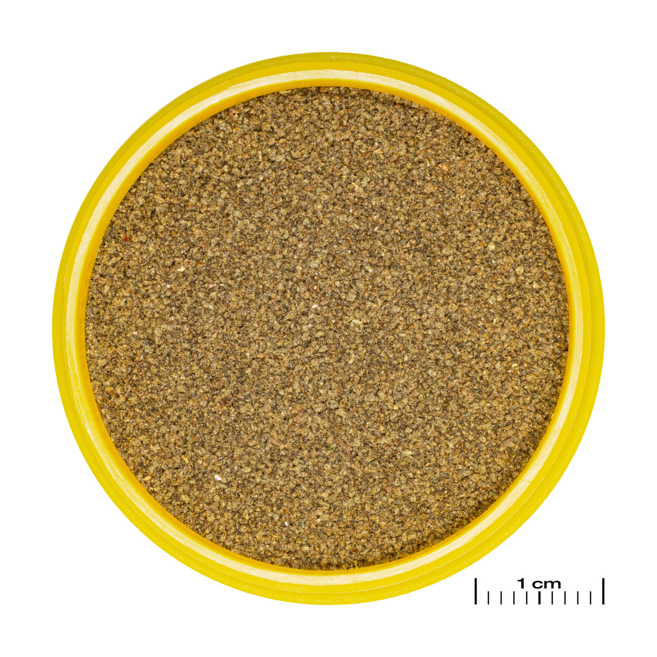 JBL NovoBaby, Fischfutter für Jungfische, feines Granulat, 10 g, speziell für Bedürfnisse von Jungfischen, ideal für Aquarienbesitzer.