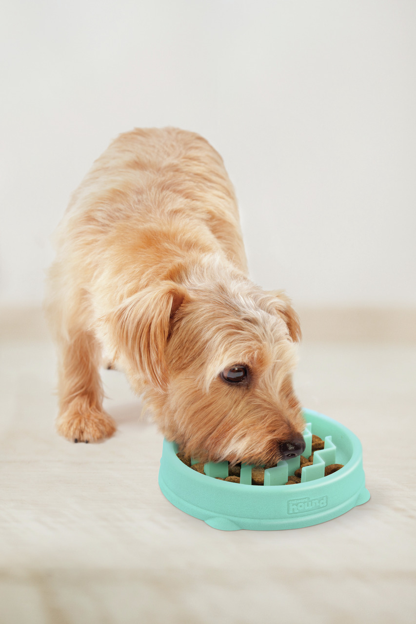 Outward Hound Fun Feeder Slo Bowl, Anti-Schling-Napf für Hunde, türkis, fördert langsames Fressen & Verdauung, für alle Hundegrößen.