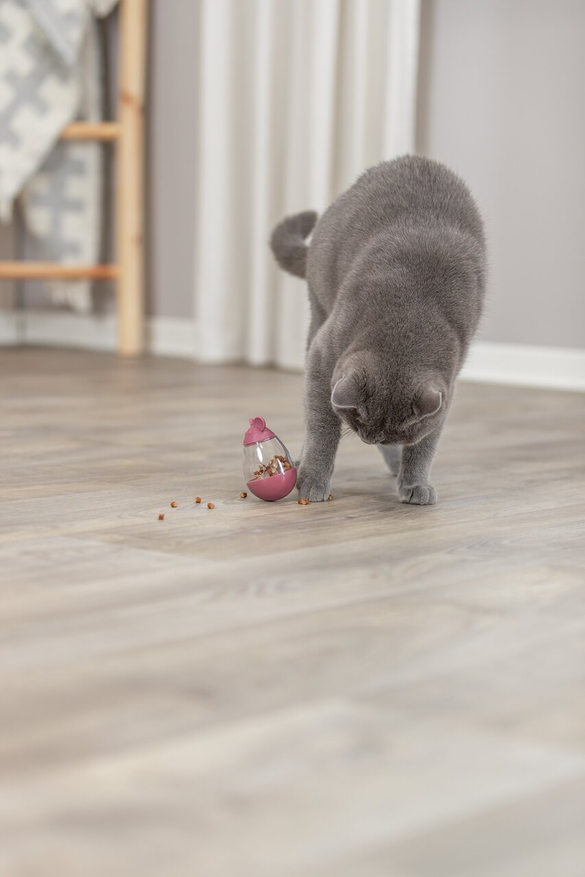 Eine graue Katze spielt mit dem TRIXIE Snackball für Katzen, der Leckerlis in kontrollierter Menge freigibt.