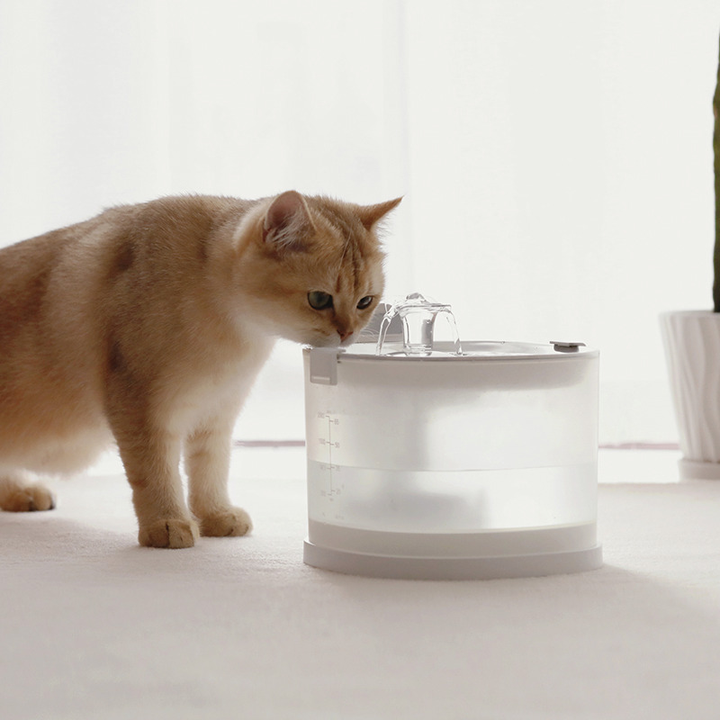 Cheerble Katzenbrunnen: Moderner Trinkbrunnen f. Katzen, transparent, Wasserstandsanzeige, sprudelnd, ideal f. frisches Wasser.