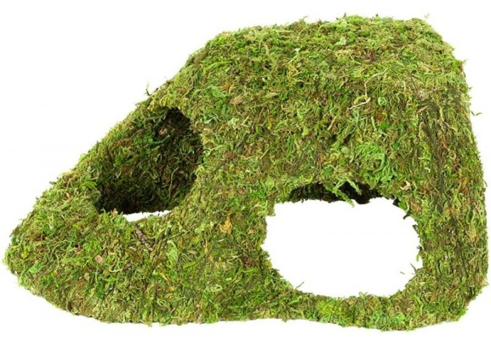Das Bild zeigt das Produkt "Hobby Terrarium Höhle Moos", eine natürliche Versteckmöglichkeit für Reptilien und Amphibien. Zielgruppe sind Terrarienbesitzer, die ihren Tieren eine naturnahe Umgebung bieten möchten. Die Höhle ist mit grünem Moos bedeckt und