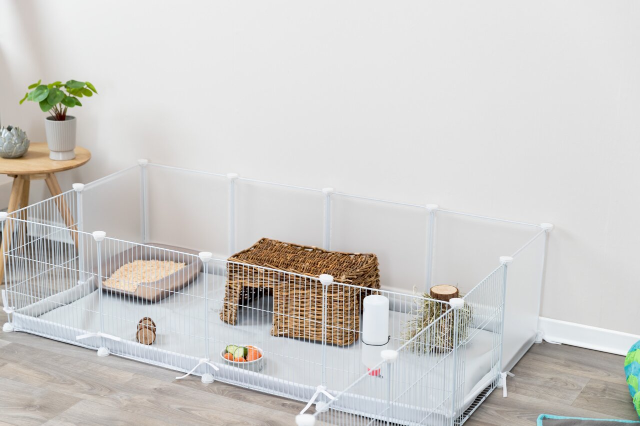 TRIXIE Freilaufgehege, Kaninchen-Meerschweinchen, inkl. Weidenhütte, Trinkflasche, Futterschale, Einstreu, Heu, für Innenbereich.