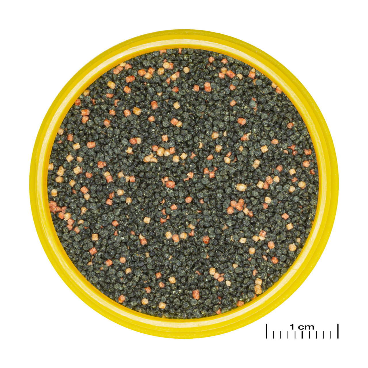 JBL NovoGranoMix Mini, Hauptfutter f. kl. Zierfische, ausgewogenes Granulat, grün/rot, gelbe Dose, Zielgr.: Aquarienbesitzer.