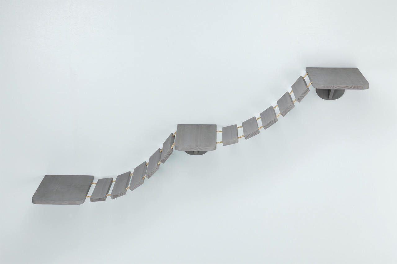 Das Bild zeigt die TRIXIE Kletterwand für Katzen, bestehend aus einer stabilen Hängebrücke aus Holz mit zwei Plattformen. Die Zielgruppe sind Katzenbesitzer, die ihren Tieren eine Möglichkeit zum Klettern und Spielen bieten möchten. Die Konstruktion ist i