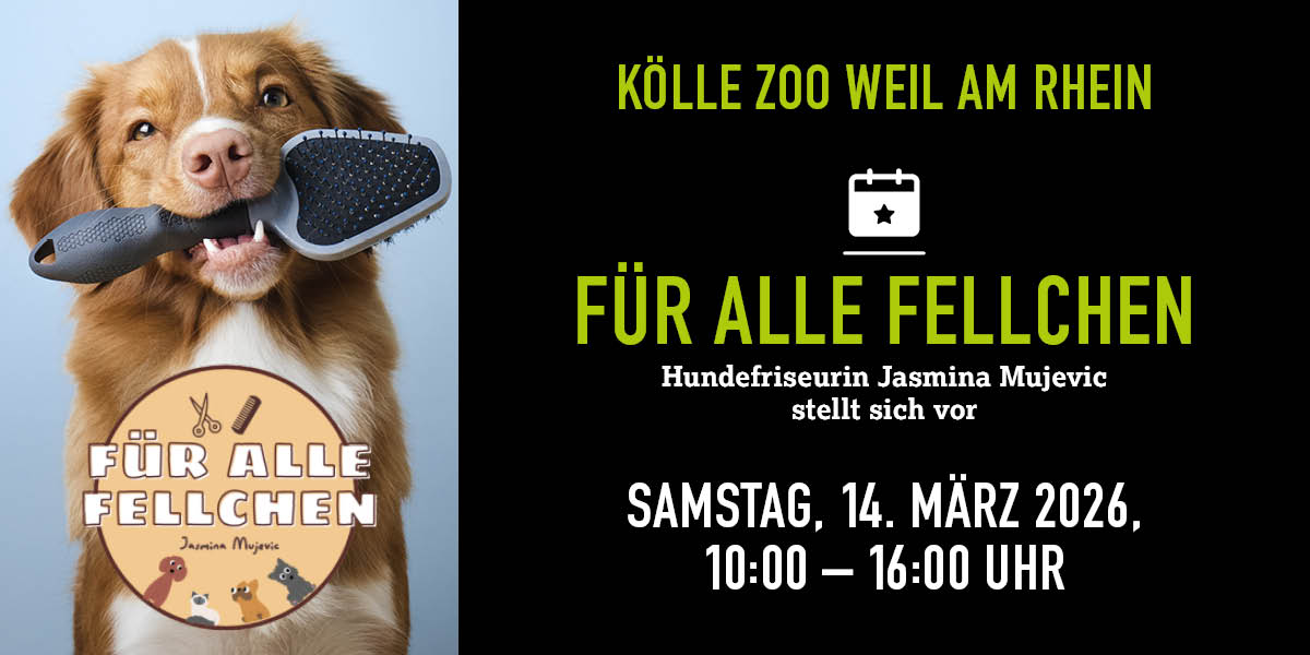 Hund mit Bürste im Maul, links Infos zum Friseurevent im Kölle Zoo Weil am Rhein