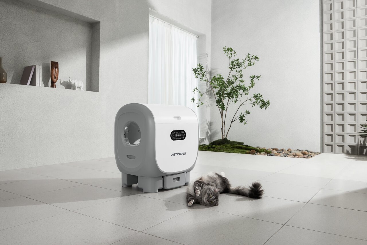 Selbstreinigende Katzentoilette von ASTROPET für Katzen, modern gestaltet, in einem hellen Raum mit liegender Katze.
