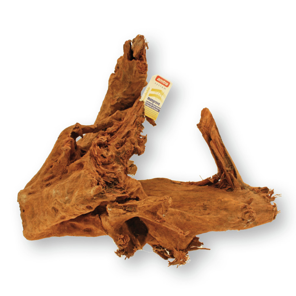 Ein großes Stück Mangrovenholz der Marke Amtra, geeignet für Aquarien und Terrarien. Das naturbelassene Holz dient als Dekoration und Versteckmöglichkeit für Fische und Reptilien. Auf dem Bild ist ein Etikett mit der Aufschrift „Amtra Mangrove“ sichtbar. 