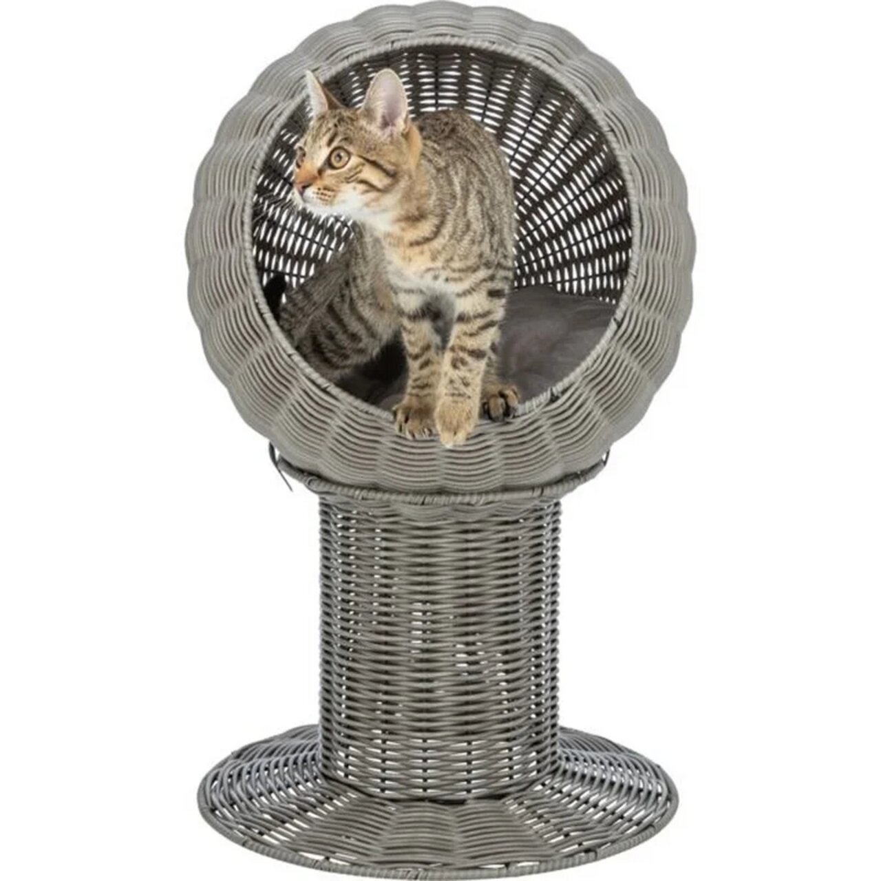 Katzenhöhle TRIXIE für Katzen, aus grauem Rattan, erhöhte Liegefläche mit weich gepolstertem Kissen, ideal zum Entspannen.