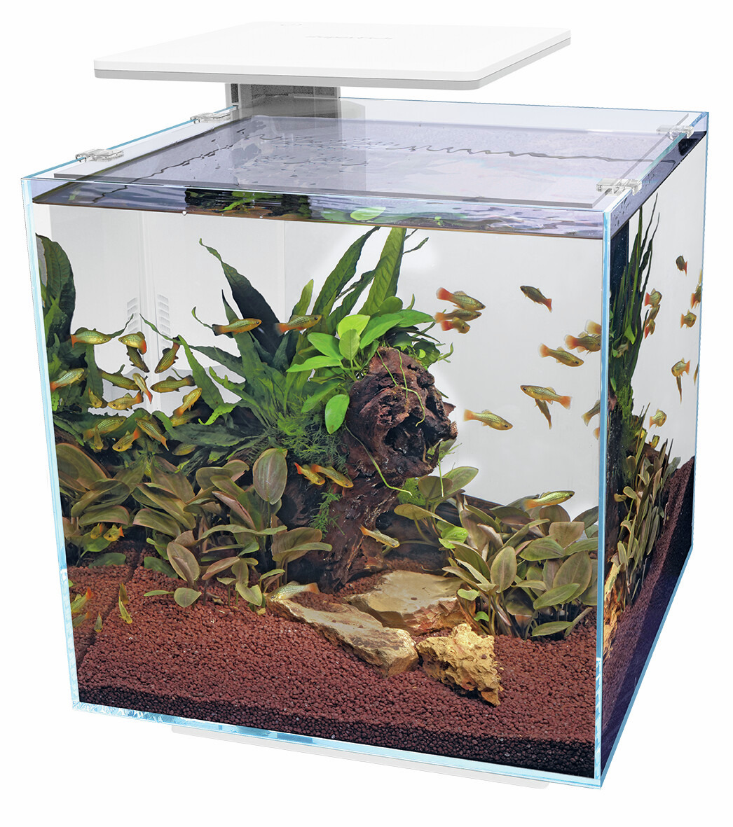 Superfish Home 25 Nano-Aquarium, 25L, für Anfänger & Profis, inkl. Pflanzen, Deko, für Zierfische in klarem Wasser.