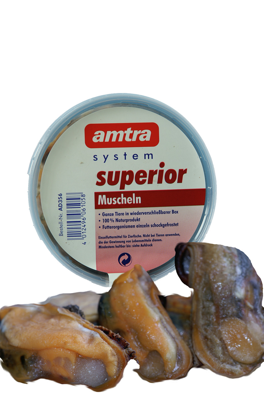 amtra system superior Muscheln, Einzelfuttermittel für Zierfische, 100 % Natur, schockgefrostet, wiederverschließbare Box.