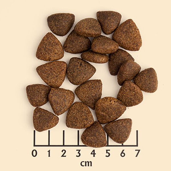 Das Bild zeigt das Trockenfutter "Wolfsblut Wild Duck" für Hunde, geeignet für alle Rassen und Altersgruppen. Die dreieckigen Kroketten sind braun und etwa 1 bis 2 cm groß. Das Futter enthält Ente als Hauptgeschmacksrichtung und ist getreidefrei. Es wird 