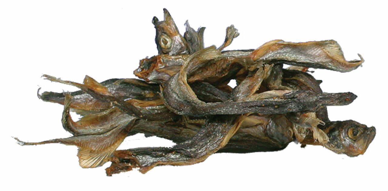 TRIXIE Fischsnacks für Hunde, ganze getrocknete Fische, natürliche Proteinquelle, ideal zwischendurch, artgerechte Ernährung.