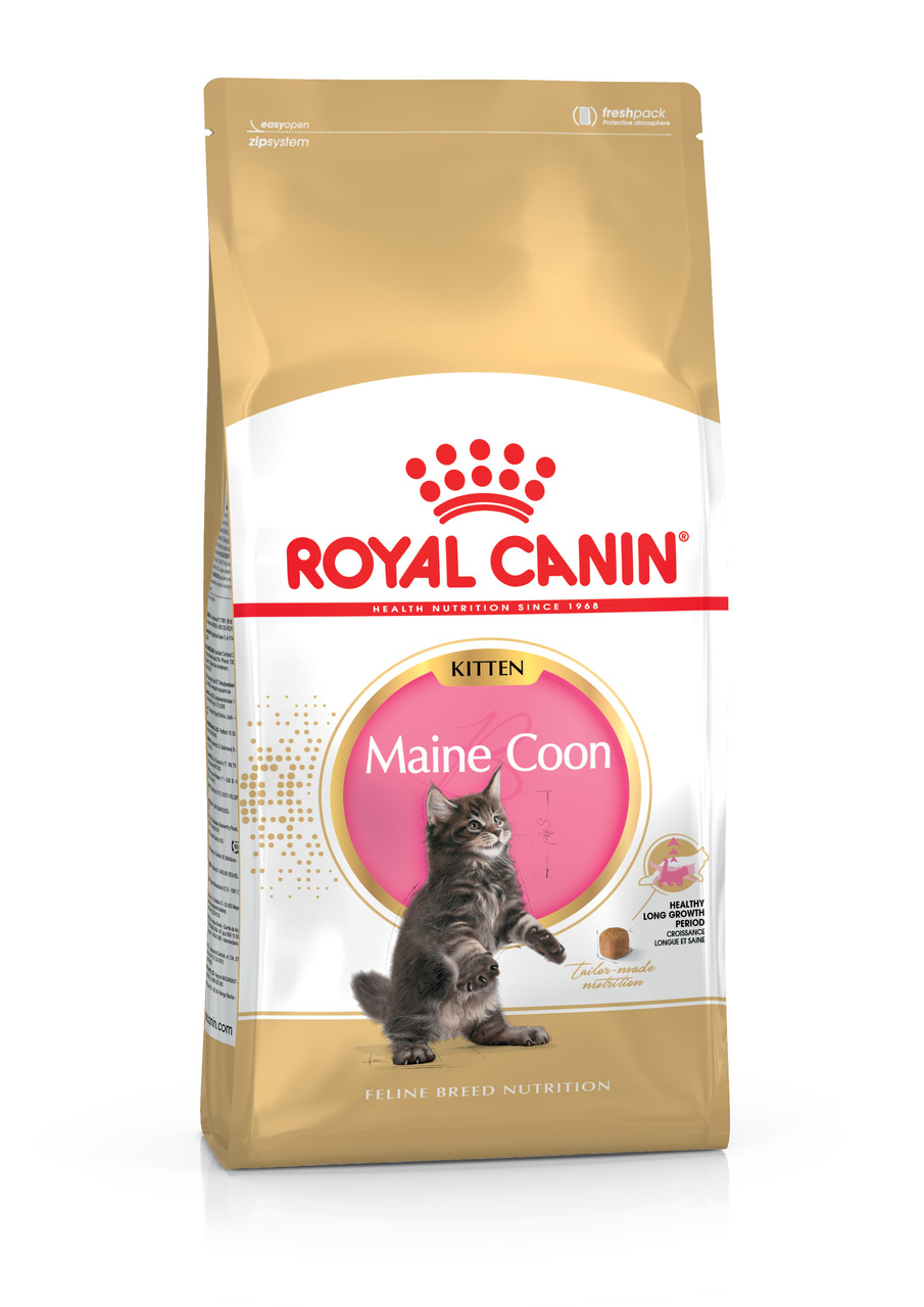 ROYAL CANIN Maine Coon Kitten, für Maine-Coon-Katzenwelpen, 4 kg, unterstützt Wachstum, enthält maßgeschneiderte Nährstoffe.