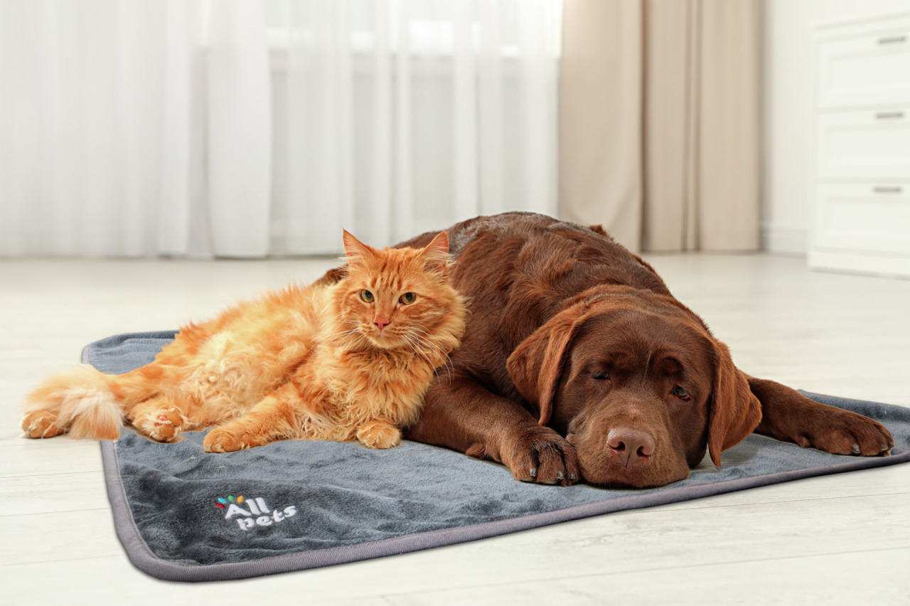 Allpets Kuscheldecke L grau für Hunde