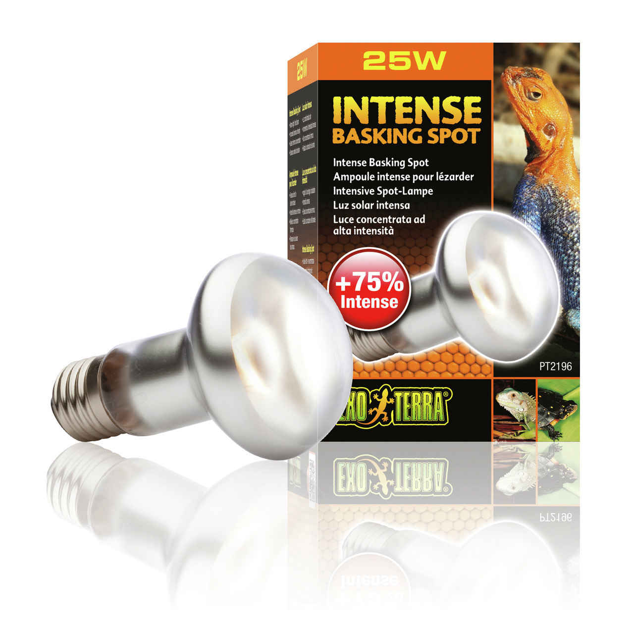 Exo Terra Intense Basking Spot Lampe 25W, Reptilien, +75% Intensität, ideal f. Terrarien, fördert Wohlbefinden.