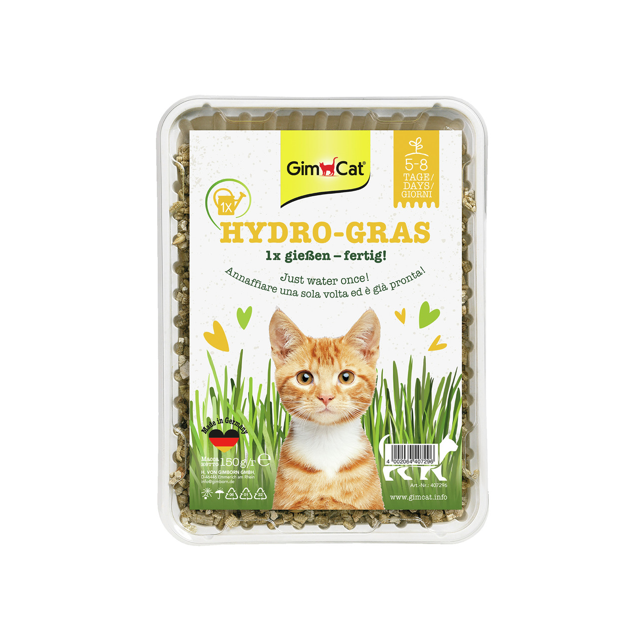 GimCat Hydro-Gras, 150 g, Katzengras, fördert Verdauung & Wohlbefinden, einfach anzuwenden: 1x gießen, wächst in 5–8 Tagen, Made in Germany.