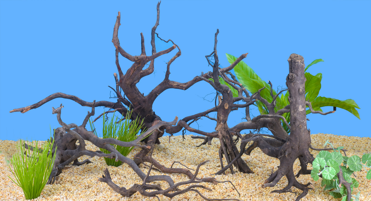 Colorstone Aquariendeko: naturgetreue Wurzeln auf Kiesbett, mit grünen Pflanzen. Für Aquarienliebhaber, artgerechtes Umfeld.