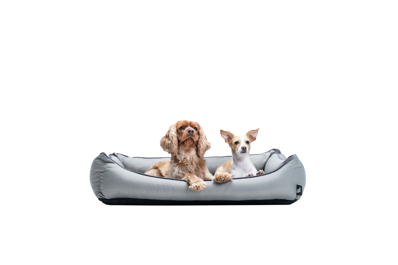 Allpets Hundebett, grau, weich gepolstert, für kl./mittelgr. Hunde, Komfort & Stil, ideal für Cavalier King Charles Spaniel & Chihuahua.