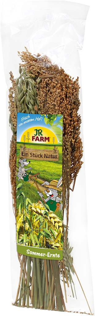 JR FARM Sommer-Ernte, 100 g, nat. Mischung aus Getreideähren & Gräsern, für Kaninchen & Nager, "Frisch von unserem Hof".