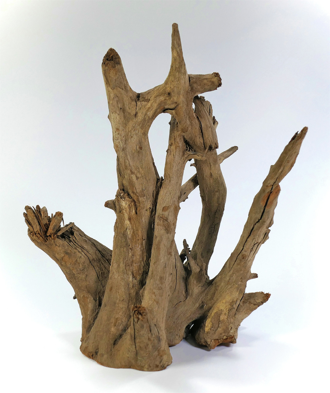 ORBIT Treibholz, für Aquarien-Terrarien, naturnahe Umgebung für Fische, Reptilien, Amphibien, unregelmäßige Form, naturbelassen.