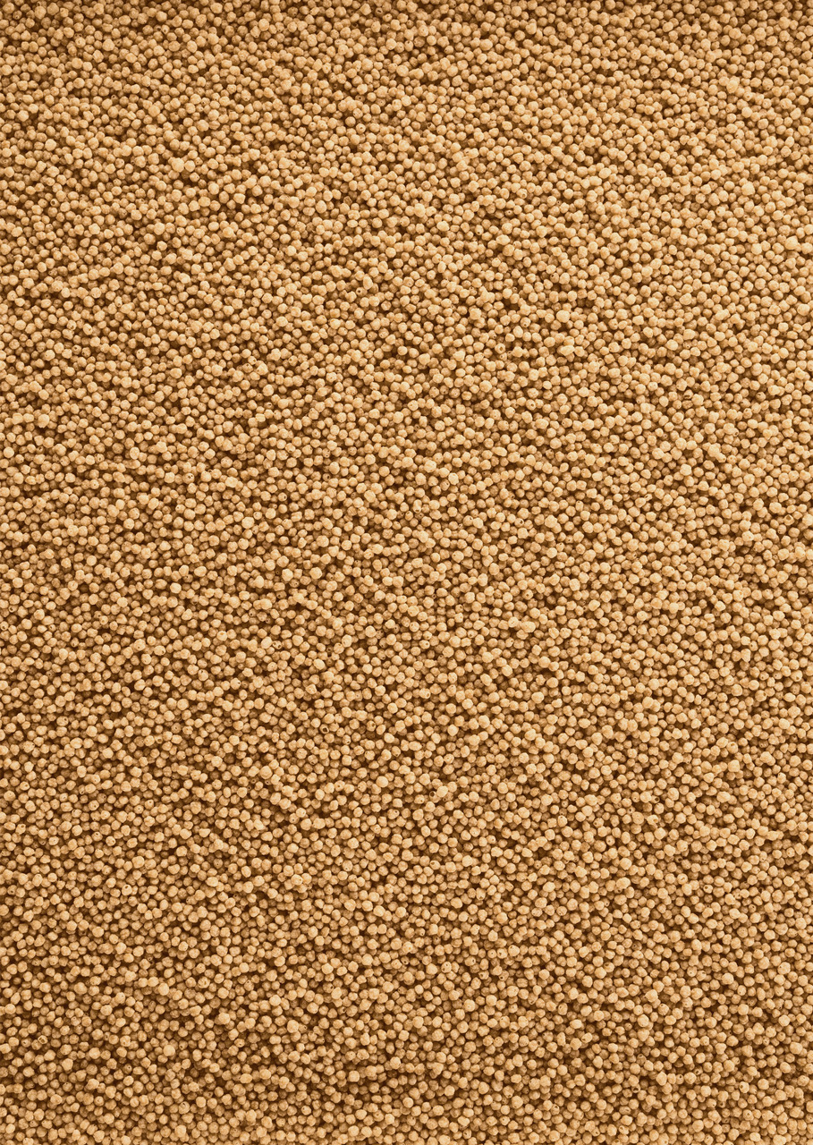 Tetra Pond Sticks, Hauptfutter für Koi & Gartenteichfische, beige Sticks, fördert Gesundheit, Vitalität & klares Teichwasser.