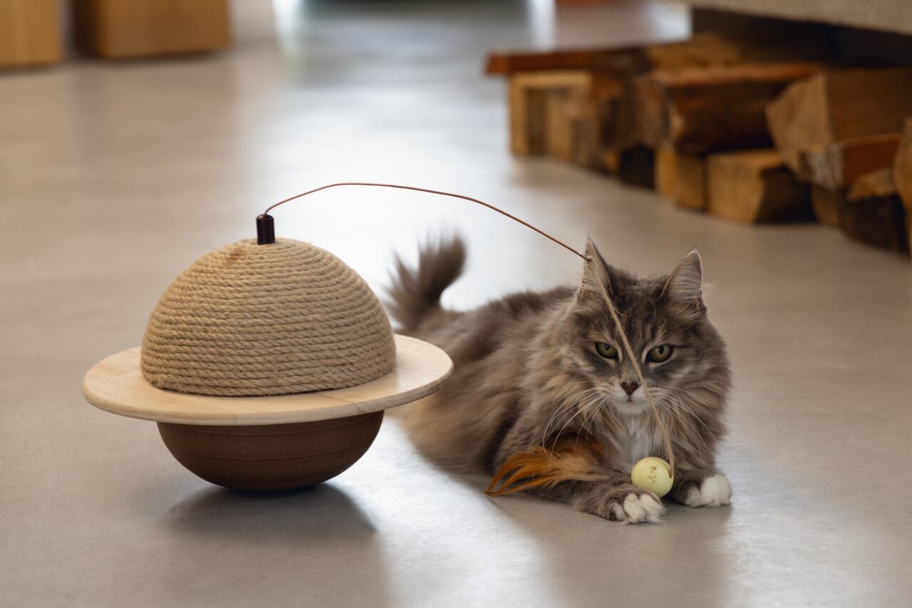 Katzenspielzeug "Designed by Lotte", Kugelbasis mit Sisalkuppel & Federstab, für Katzen jeden Alters, fördert Aktivität & Jagdinstinkt.